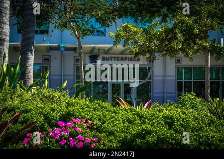 Grand Cayman, Kaimaninseln, Dezember 2022, Blick auf die Butterfield Bank in Camana Bay Stockfoto