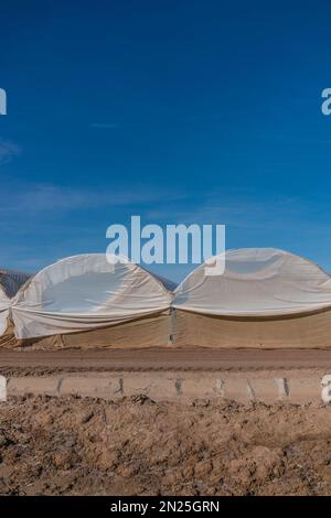 Getreidetunnel, auch als „Hoop Houses“, „Polyhouses“ und „Polytunnels“ bezeichnet, außerhalb von Brawley, Kalifornien, in der Nähe der Salton Sea. Stockfoto