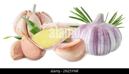 Ingwerwurzel, Knoblauch und Rosmarin auf weißem Hintergrund Stockfoto