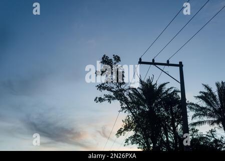 Silhouette von Bäumen und Stromleitungen bei Sonnenuntergang. Dramatischer Himmel. Stockfoto