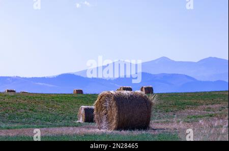 Felder mit Heuballen im Vordergrund und Mission Mountain Range in der Ferne sichtbar Stockfoto