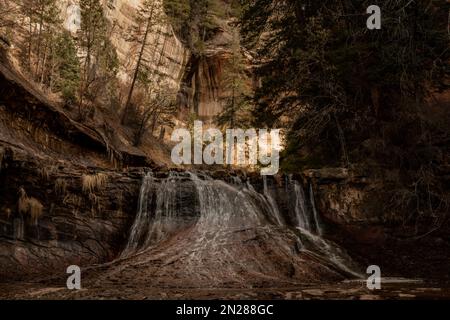 Das Wasser rauscht über den Wasserfall auf dem Weg zum Subway Canyon in Zion Stockfoto