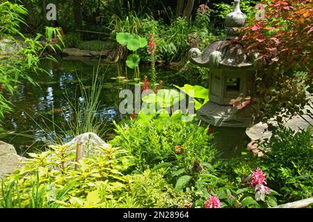 Teich im UNC Charlotte Botanical Gardens, NC, USA Stockfoto