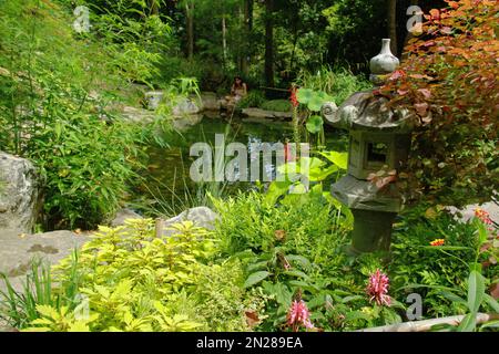Teich im UNC Charlotte Botanical Gardens, NC, USA Stockfoto