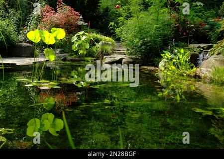 Teich im UNC Charlotte Botanical Gardens, NC, USA Stockfoto