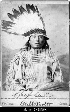 Ein Porträt von Hunkpapa Lakota Chief Gall in einem Kriegshauben Stockfoto