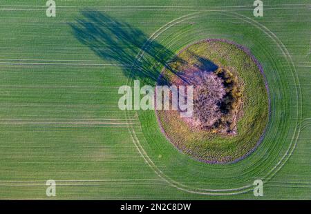 PRODUKTION - 06. Februar 2023, Mecklenburg-Vorpommern, Mühlen Eichsen: Bäume stehen in einem sogenannten Debit und werfen lange Schatten auf das Ackerland in der Nähe von Mühlen-Eichsen. (Luftaufnahme mit einer Drohne) der Bau von vier wandmontierten Kraftwerken ist hier seit Jahren geplant. Wegen möglicher Störungen der visuellen Beziehungen der denkmalgeschützten Denkmäler haben die Naturschützer Pläne für Windturbinen dort abgelehnt. Aufgrund der ausstehenden Genehmigung haben betroffene Planungsunternehmen nun beim Obersten Verwaltungsgericht in Greifswald sogenannte Unterlassungsklagen eingereicht. Stockfoto