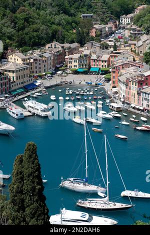 Blick von oben auf den Hafen von Portofino mit kleinen Booten, in den Vordergrund-Segelyachten und Motoryachten, Portofino, Golfo Paradiso, Provinz Genua Stockfoto