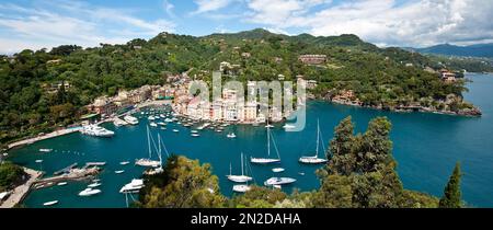 Panoramablick auf das Fischerdorf Portofino am Hafen mit Segel- und Motoryachten, Portofino, Golfo Paradiso, Provinz Genua, Riviera di Stockfoto