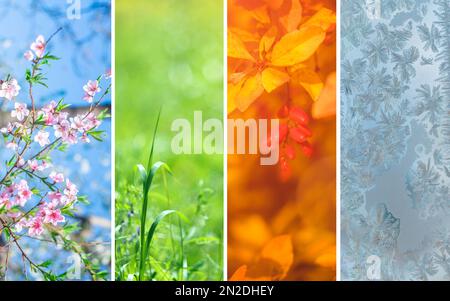 Vier Jahreszeiten. Verschiedene Bilder der vier Jahreszeiten: Frühling, Sommer, Herbst und Winter. Speicherplatz kopieren Stockfoto