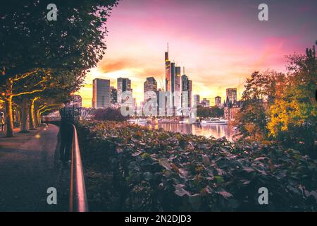 Blick über den Main bis zur Skyline von Frankfurt am Main bei Sonnenuntergang, abends, Sonnenuntergang mit Hintergrundbeleuchtung, Hessen, Deutschland Stockfoto
