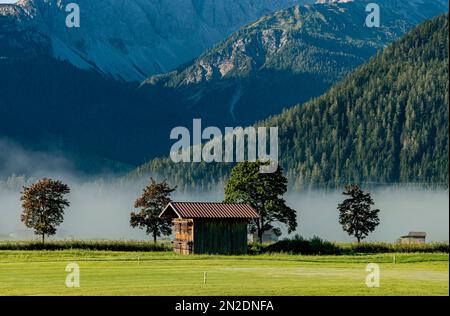 Morgennebel auf den Wettersteinbergen, Ehrwald, Tirol, Österreich Stockfoto