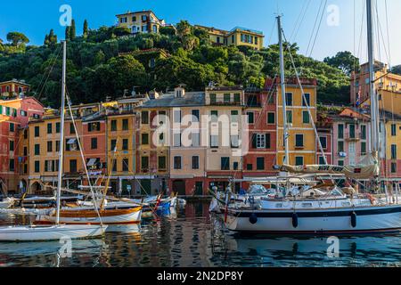 Segelyachten und Boote ankern im Hafen von Portofino, hinter ihnen pastellfarbene Hausfassaden im Morgenlicht, Portofino, Ligurien, Italien Stockfoto