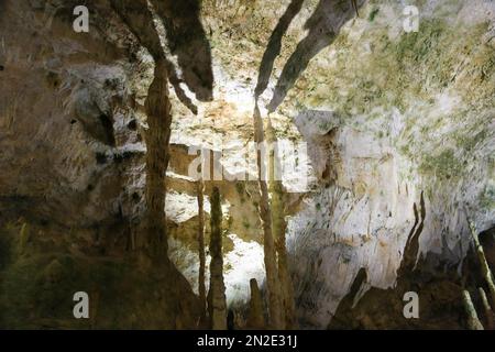 Baerenhoehle, Karlshoehle, Erpfinger Hoehle, Stalaktitenhöhle, weißer Jurassic-Kalkstein, Sonnenbühl-Erpfingen, Baden-Württemberg, Deutschland Stockfoto