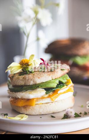 Vollkornbrot mit Avocado, pochiertem Ei, Erbsensprossen und Käse auf weißem Hintergrund. Draufsicht. Gesundes Diät-Frühstück Stockfoto