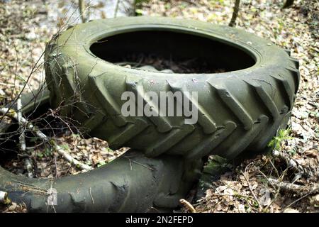 Reifenkippen im Wald. Abfall in der Natur. Räder von Lastwagen. Gummireifen werden entsorgt. Stockfoto