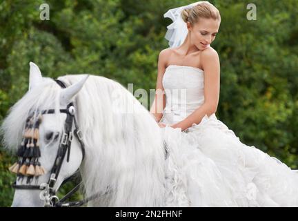 Reiten, um ihren weißen Ritter an dem besonderen Tag zu treffen. Eine wunderschöne junge Braut, die an ihrem Hochzeitstag auf einem weißen Pferd reitet. Stockfoto