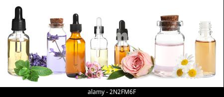 Set verschiedener ätherischer Öle, die in der Aromatherapie auf weißem Hintergrund verwendet werden, Bannerdesign Stockfoto