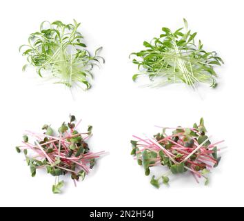 Set aus verschiedenen frischen Grüntönen auf weißem Hintergrund Stockfoto