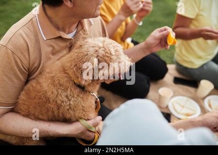 Älterer Mann umarmt seinen Hund, während er ein Picknick mit der Familie genießt Stockfoto