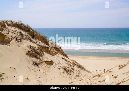 Sandige natürliche Dünen mit Zugang zum Meeresstrand im Lacanau Ozean in Frankreich Stockfoto