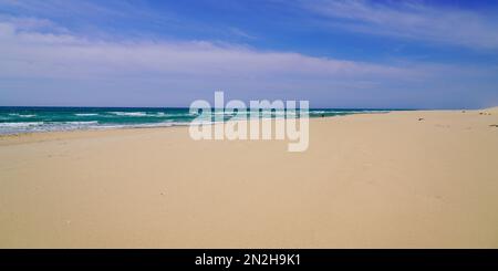 Sandiger, natürlicher, leerer Strand mit Dünen von Le Porge in der Nähe von Lacanau in Frankreich Stockfoto