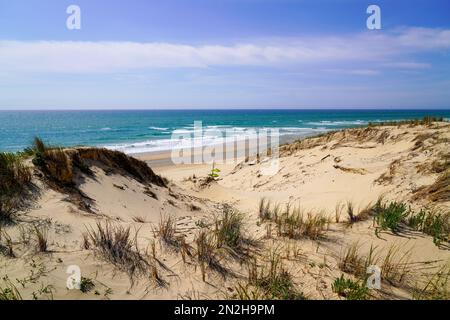 Zugang zum sandigen Meeresweg am Sanddünen-Strand im Lacanau-Ozean in Frankreich Stockfoto