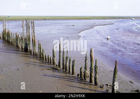 Niedrigwasser-Strand im Sonnenaufgang-blauen Wasser von Ares am Bassin d'Arcachon in Gironde frankreich Stockfoto