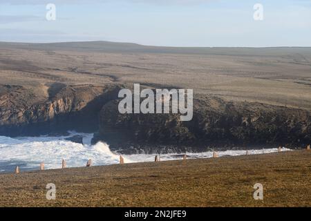 Yesnaby Castle Orkney Inseln Stockfoto