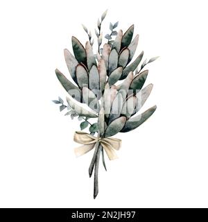 Aquarelle Sukkulenten mit eucaliptusästen und Gras mit Schleifenknoten isoliert auf weißem Hintergrund, realistischer, handgezeichneter Clipart Stockfoto
