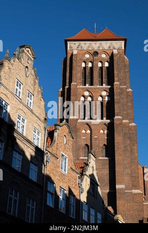 Gotischer Backsteinturm von St. Mary Church und historische Giebelhäuser bei Sonnenuntergang in der Altstadt von Danzig in Polen. Stockfoto