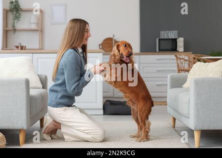 Junge Frau mit rotem Cockerspaniel in der Küche Stockfoto