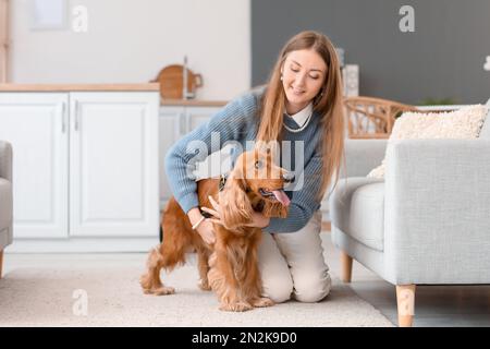 Junge Frau mit rotem Cockerspaniel in der Küche Stockfoto