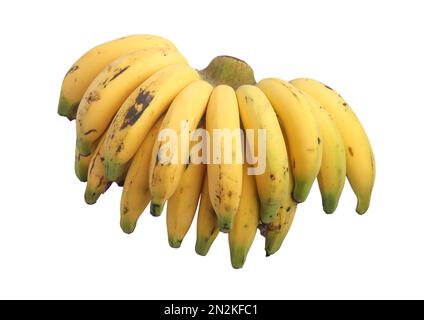 Eine Hand Lebmuernang-Bananen isoliert auf weißem Hintergrund Stockfoto