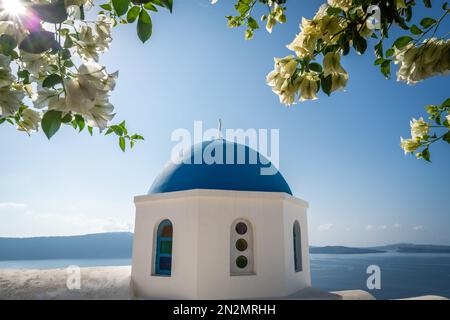 Berühmte blaue Kuppel einer orthodoxen Kirche in Oia, Insel Santorini, Griechenland Stockfoto