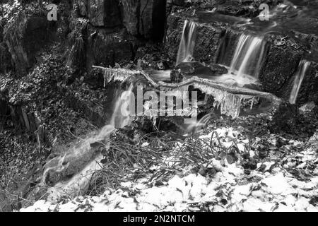 Cleddon Falls mit Eiszapfen auf einem gefallenen Sapling. The Wye Valley Monmouthshire Wales UK, Dezember 2022 Stockfoto