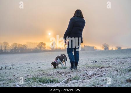 Kidderminster, Großbritannien. 7. Februar 2023. Britisches Wetter: Für viele ein sehr kalter und frostiger Start, aber die Sonne bricht bald durch den Nebel. Hundefreunde genießen die Begrüßungssonne, während sie durch den Nebel zu einem frostigen und frischen Bauernfeld strömt. Kredit: Lee Hudson/Alamy Live News Stockfoto