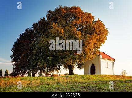 Herbstbaum und Kapelle Stockfoto