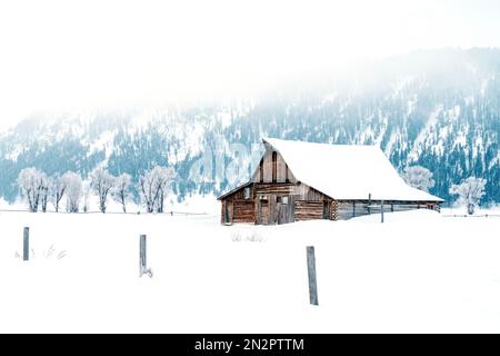 Moulton Barn, Mormon Row im Winter mit viel Schnee und eiskaltem Grand Teton National Park, Wyoming, USA Stockfoto