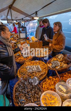 Stall, der Pilze verkauft, im Lindengracht Markt im Jordanien-Viertel Amsterdam. Stockfoto