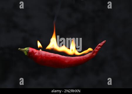 Rote heiße Chili-Pfeffer mit einer Feuerflamme Stockfoto