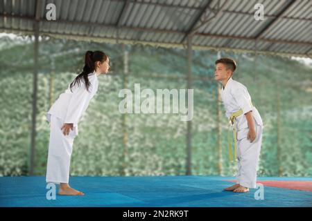 Kinder im Kimono, die vor dem Karate-Training im Outdoor-Gym Ritualbogenritual durchführen Stockfoto