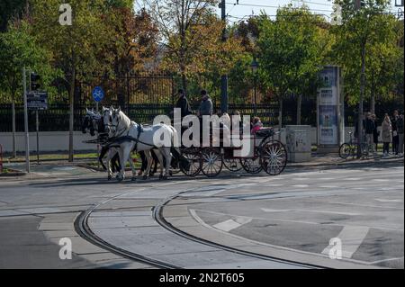 Blick auf die Pferdekutschen. Fiakers an der Wiener Ringstraße, einem kreisförmigen Grand Boulevard, der als Ringstraße um das historische Viertel Wien dient Stockfoto