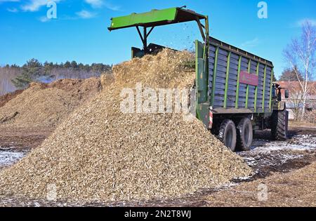 07. Februar 2023, Brandenburg, Stolzenhagen: Pappeln, die zu Holzspänen verarbeitet wurden, werden in einem Quadrat entladen. Nicht nur, sondern insbesondere in Zeiten von Energiekrisen und teuren Brennstoffen, ist nachhaltige Biomasse ein wichtiger Baustein für die sichere und nachhaltige städtische Beheizung der Berliner, so Vattenfall. Zu diesem Zweck erntet die Vattenfall-Tochtergesellschaft Energy Crops in Brandenburg und dem benachbarten Polen dieses Jahr rund 20.000 Tonnen Pappelholzchips. Biomasse gilt als nachhaltig, da bei ihrer Verbrennung immer nur so viel CO2-Emissionen freigesetzt werden wie bisher Stockfoto