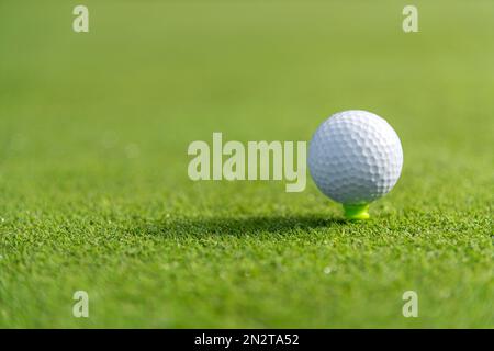 Nahaufnahme weicher Fokus von weißem Ball auf dem Tee auf grünem Rasen des Golfplatzes Stockfoto