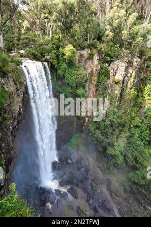 Blick aus der Vogelperspektive auf die Queen Mary Falls, Darling Downs, Spring Creek, Main Range National Park, Queensland, USA Stockfoto