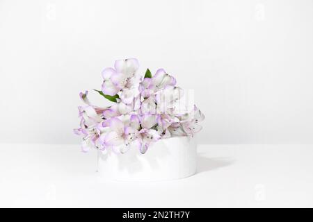 Zylindrisches weißes Podium auf weißgrauem Hintergrund mit harten Schatten und lila Alstroemeria-Blüten. Minimal leere Darstellungsmethode für kosmetische Mittel Stockfoto