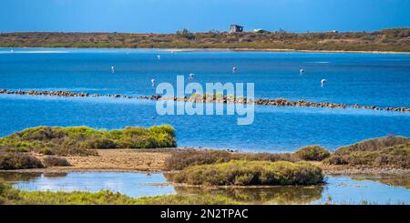 Ornithologischer Aussichtspunkt Las Salinas, Salinas de Cabo de Gata, Feuchtgebiet Ramsar, Naturpark Cabo de Gata-Níjar, UNESCO-Biosphärenreservat, Hot des Stockfoto