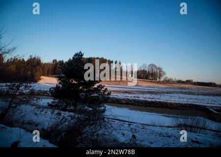 Kleiner eiskalter Karpfenteich an einem kalten Wintermorgen, Waldviertel/Österreich Stockfoto