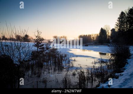 Kleiner eiskalter Karpfenteich an einem kalten Wintermorgen, Waldviertel/Österreich Stockfoto